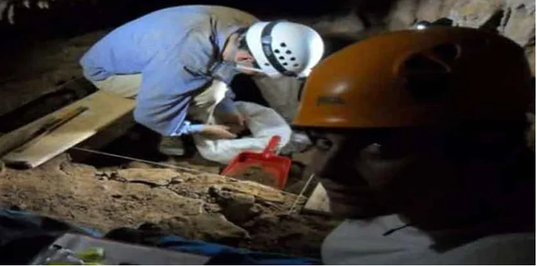 تیز دھار ہتھیار سے کاٹی گئی ہڈی، ممکنہ طور پر قدیم آدم خوری کی علامت تحقیقاتی ٹیم کا گران ڈولینا غار میں آثارِ قدیمہ کی کھدائی کا منظر